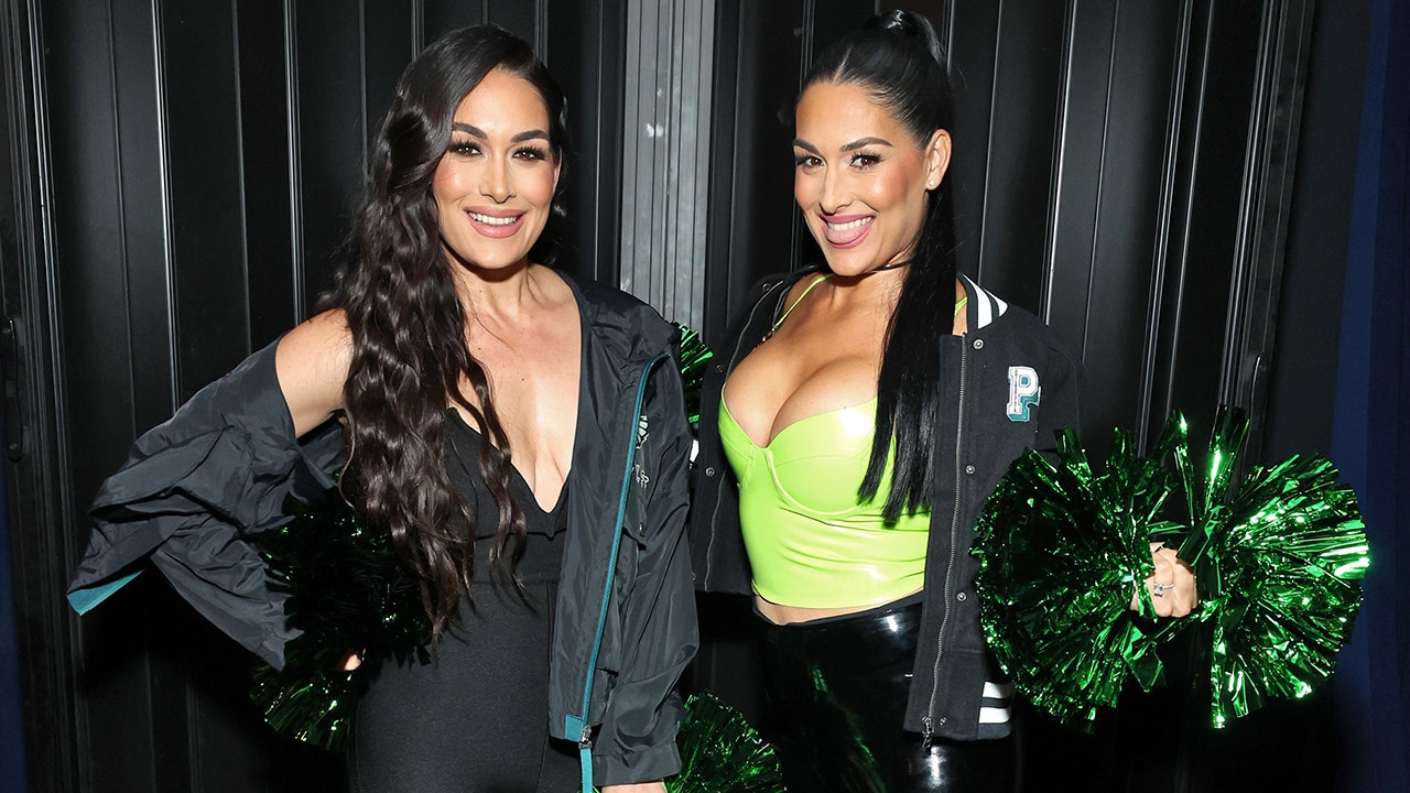 Nikki Bella, Brie Bella exit WWE and change their names - Los Angeles Times