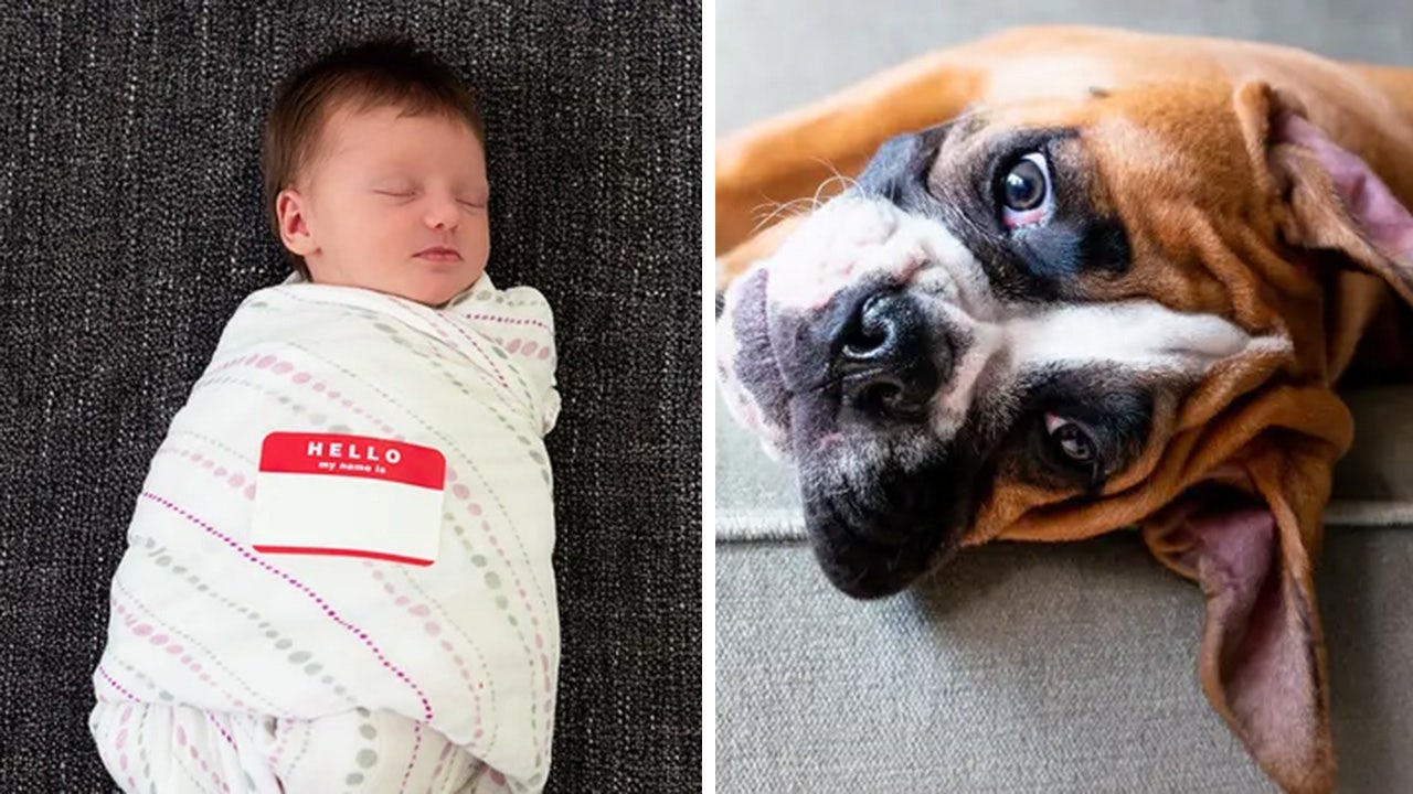 Mom goes viral on TikTok for revealing she named her baby after deceased family dog