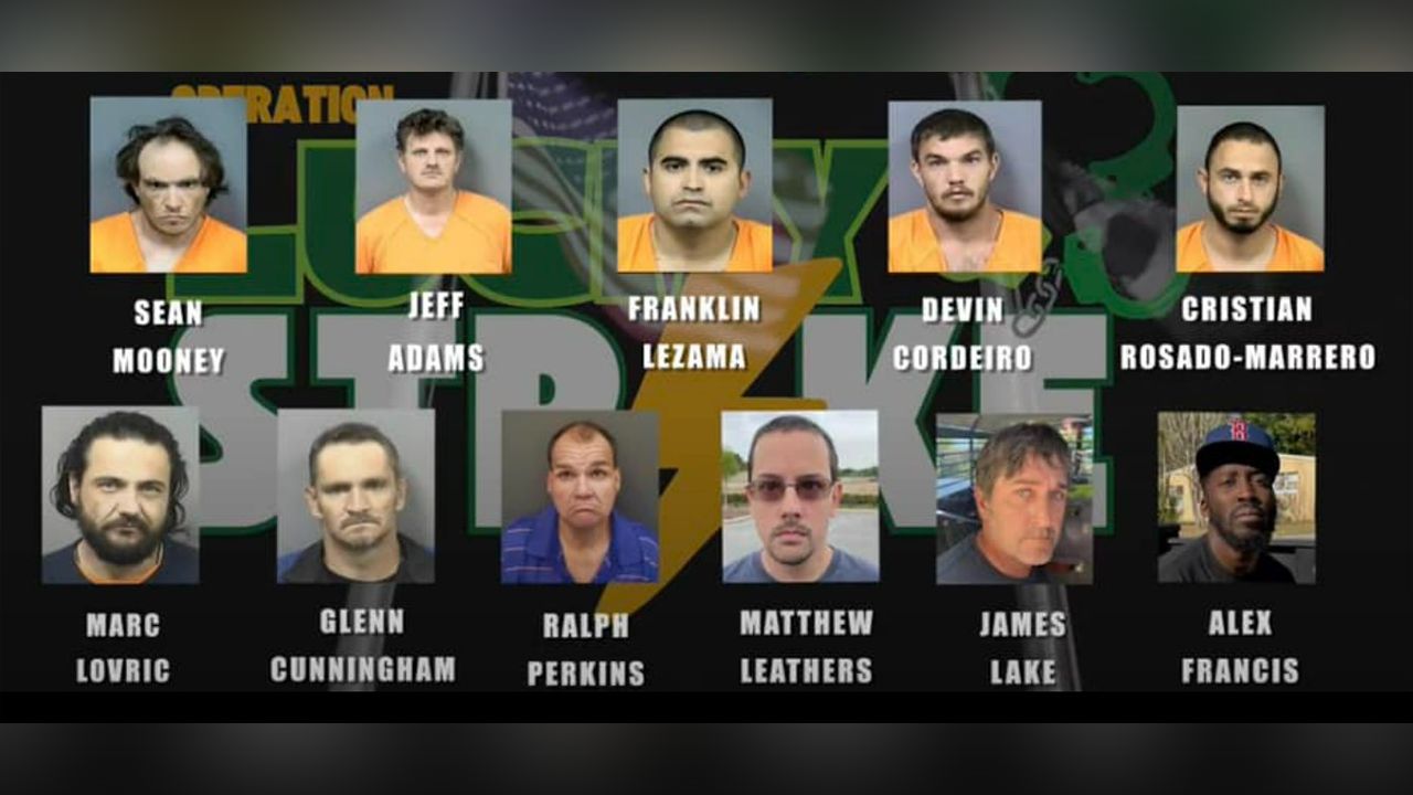 Florida undercover operation leads to arrest of 12 men in connection with alleged sexual activity with minors