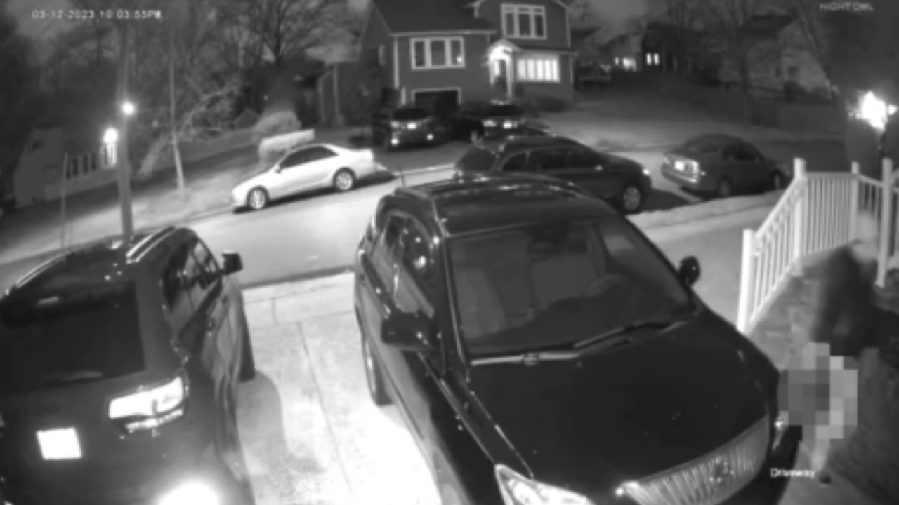 New Jersey suspect seen shoving dead cat in mailbox: Video