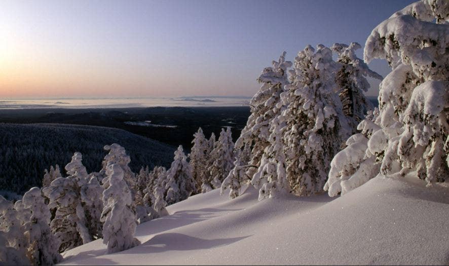 News :Oregon snowboarder dead after falling off cliff in avalanche