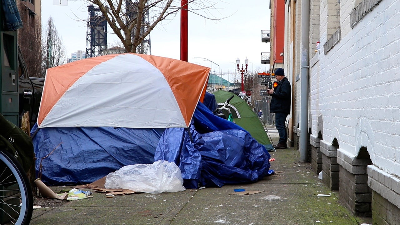 Oregon lawmakers 'loving homeless to death' by throwing millions in funding at crisis, local official says