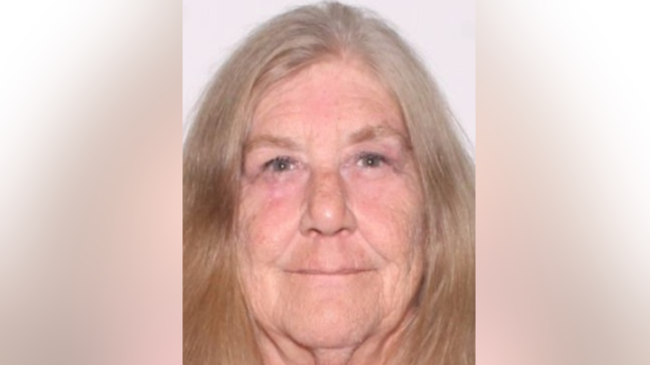 Florida woman still missing one week after car broke down in Ocala National Forest: police