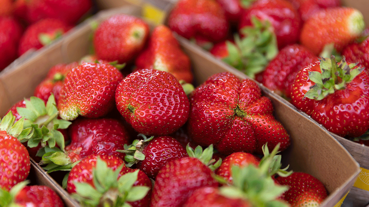 Strawberries in boxes