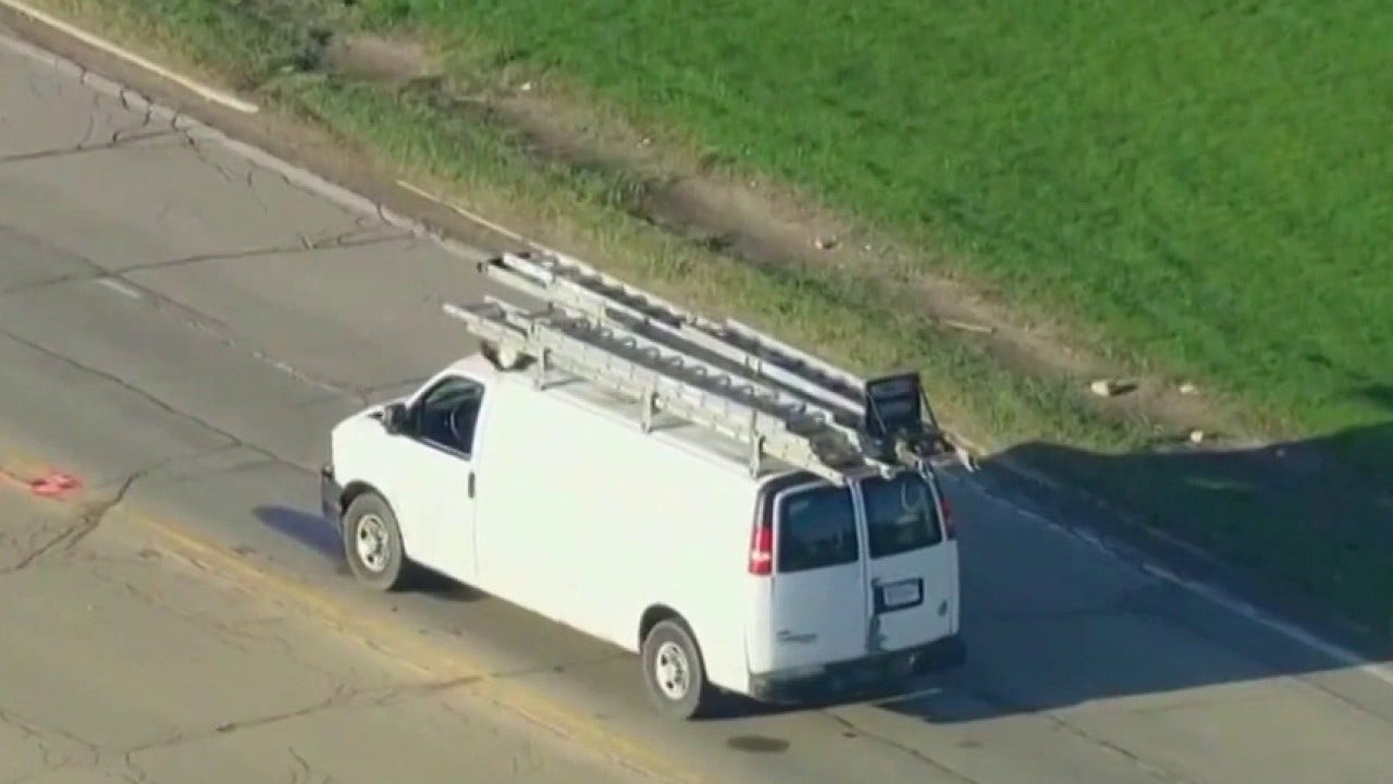 Illinois man hit, killed by van while trying to help goose out of traffic