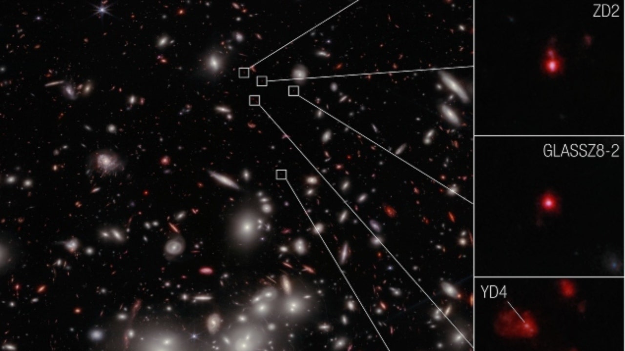 Webb Space Telescope sees massive protocluster of galaxies in the early universe