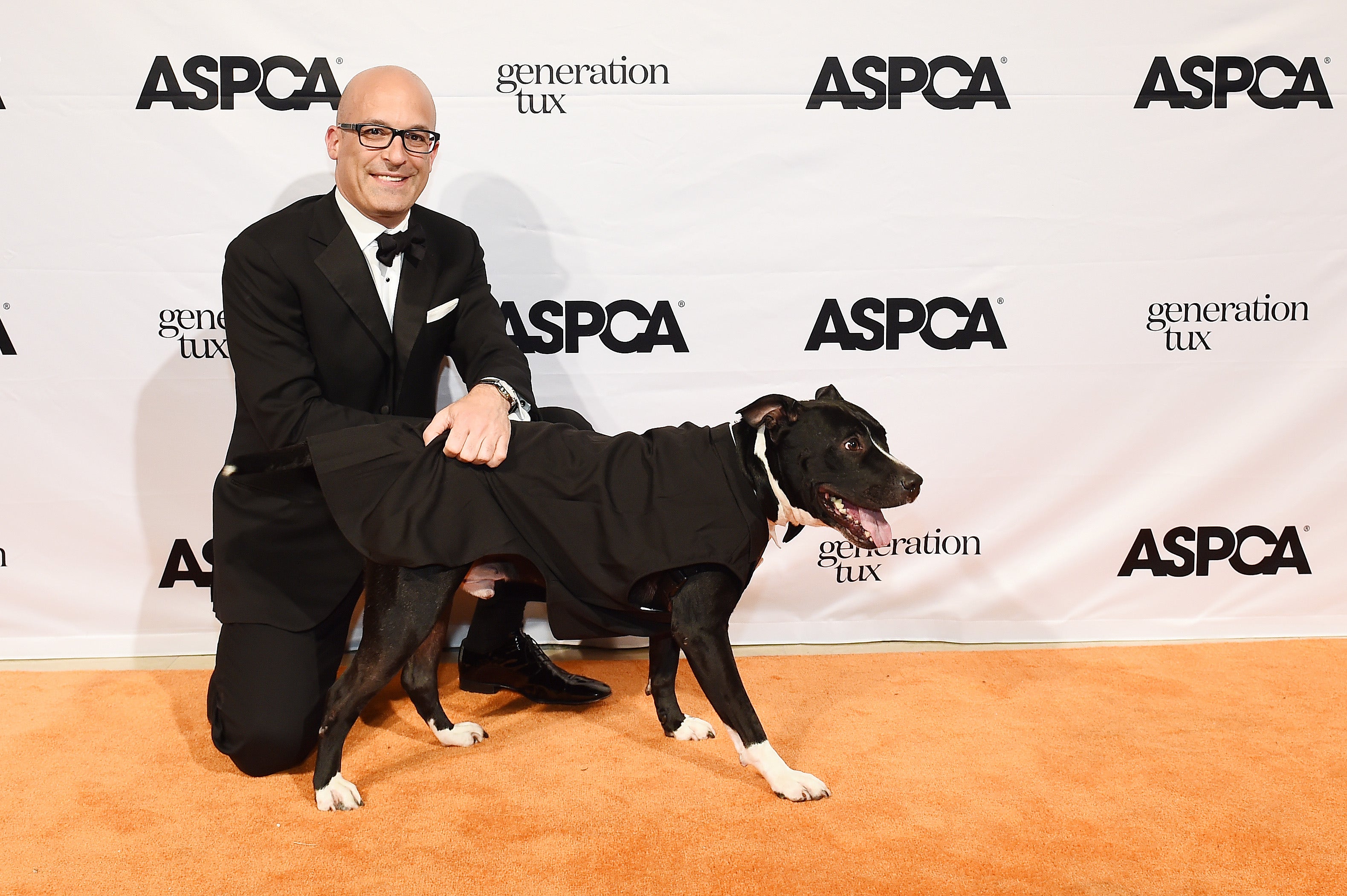 aspca-the-menagerie-chronicle-forums