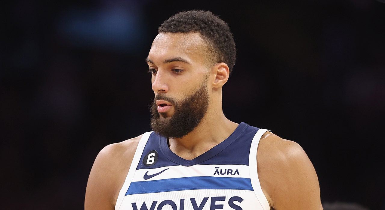 Rudy Gobert issues apology after punching Timberwolves teammate