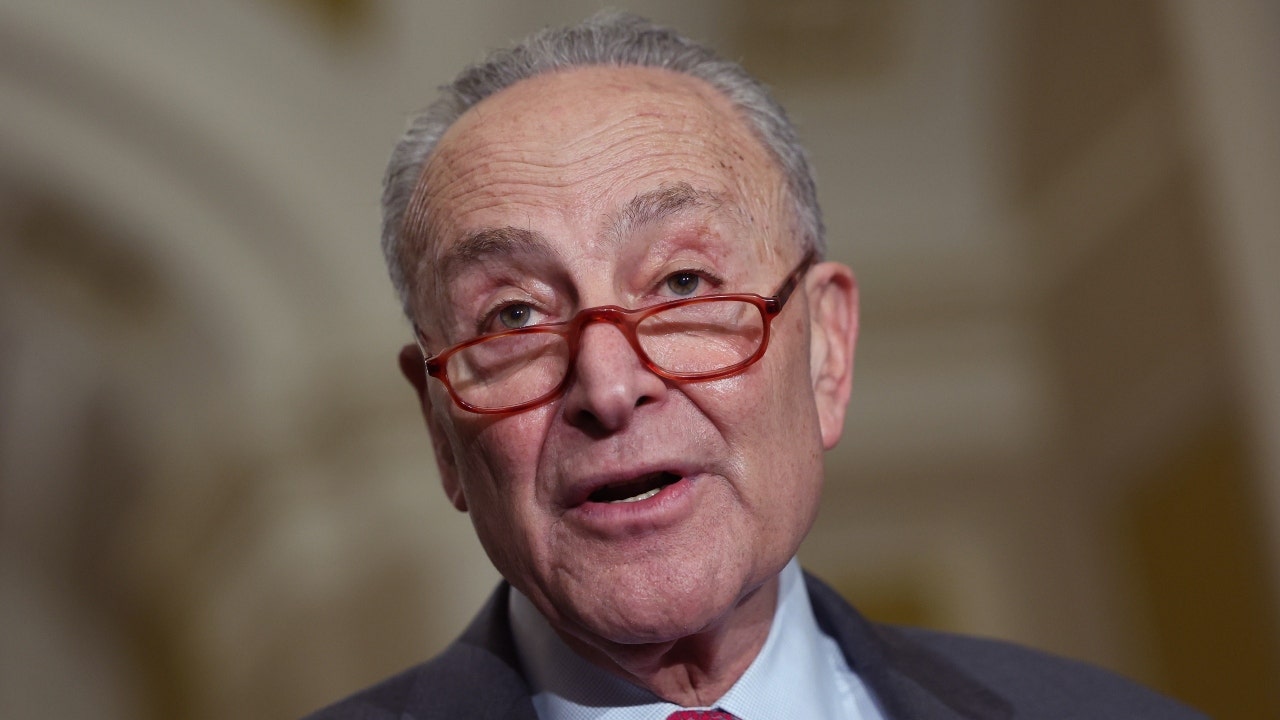 Chuck Schumer courts bipartisan lawmakers for AI regulation