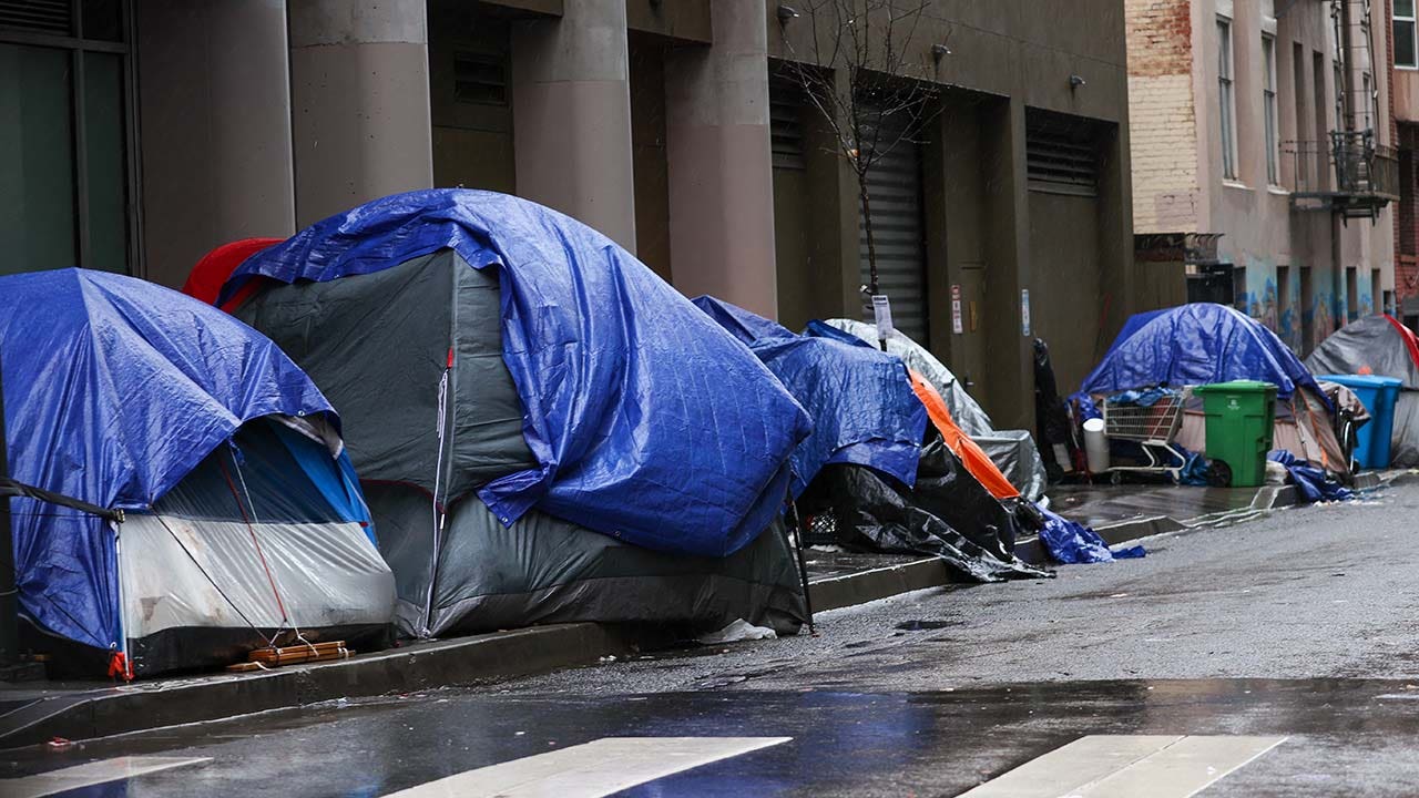 Fed Up San Francisco Residents Forced To Self Fund Heavyweight Planters   Tenderloin District San Francisco 023 