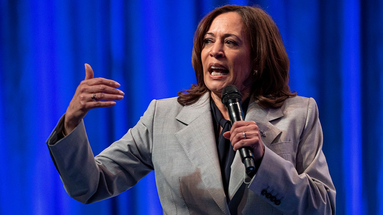 Kamala Harris says America experiencing 'epidemic of hate' after Florida Dollar General shooting