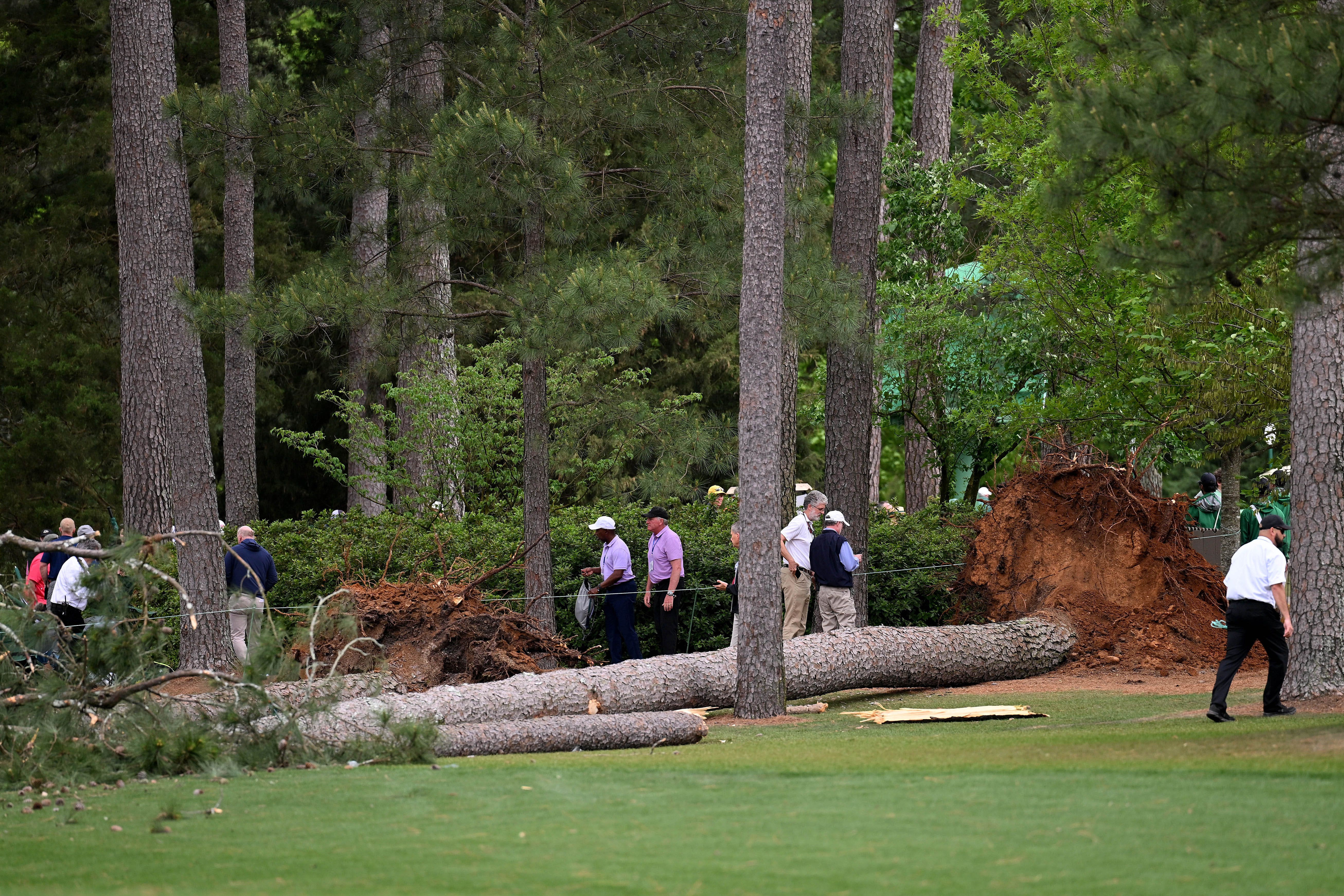 Masters leaderboard: Play suspended as huge tree falls to the ground in  scary scene, Golf, Sport