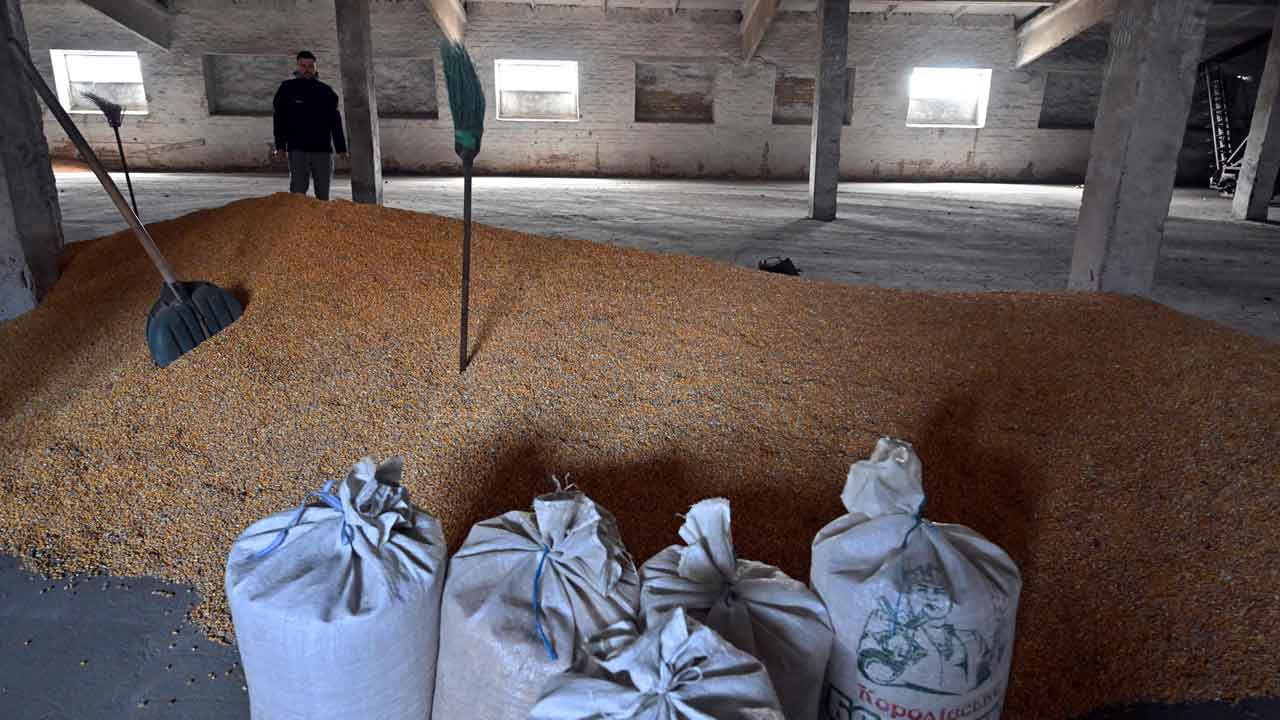 Bulgaria becomes latest EU country to ban Ukrainian grain imports following protests from local farmers