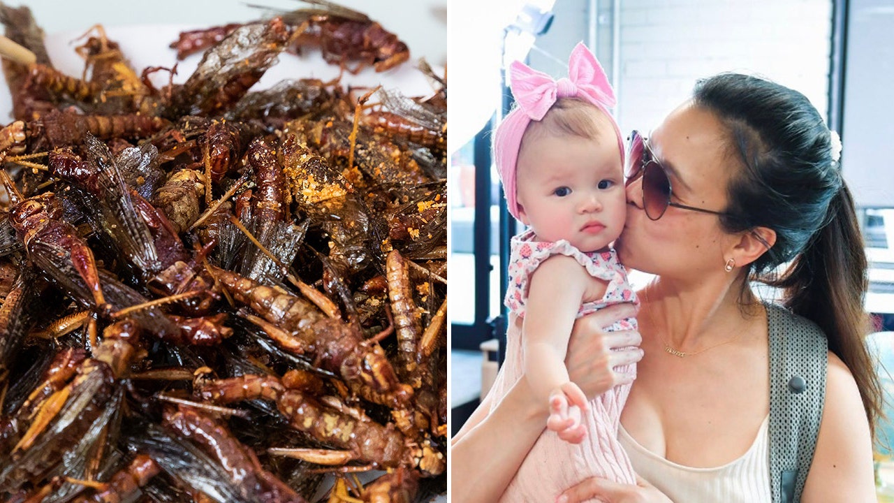Baby eats bugs: Mom whose daughter consumes crickets insists they're healthy and 'cheaper' than meat
