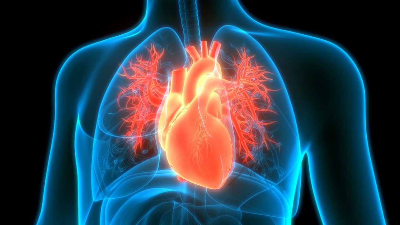 Heart disease risk could be affected by one surprising factor, new study finds