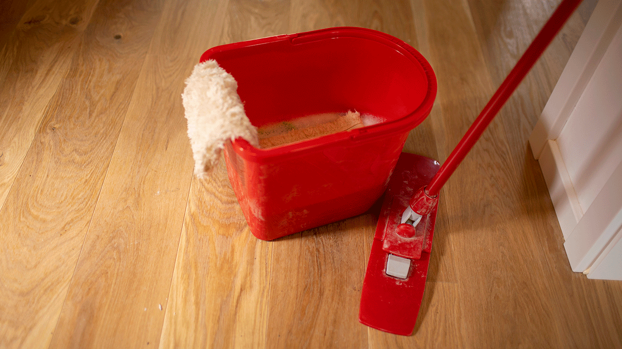 Mop and bucket of water
