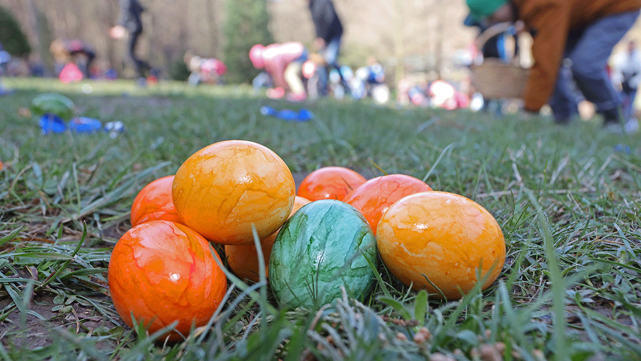 Painted Easter eggs in the grass