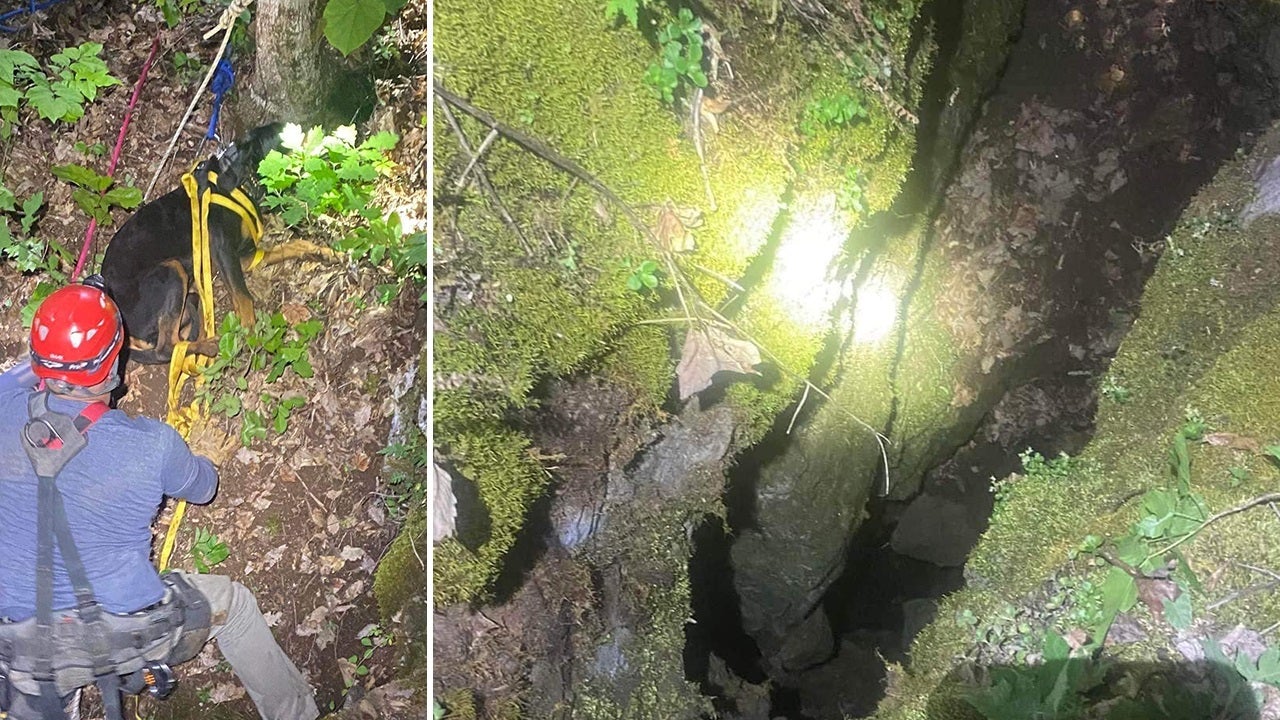 Tennessee dog rescued from cave after falling over 50 feet