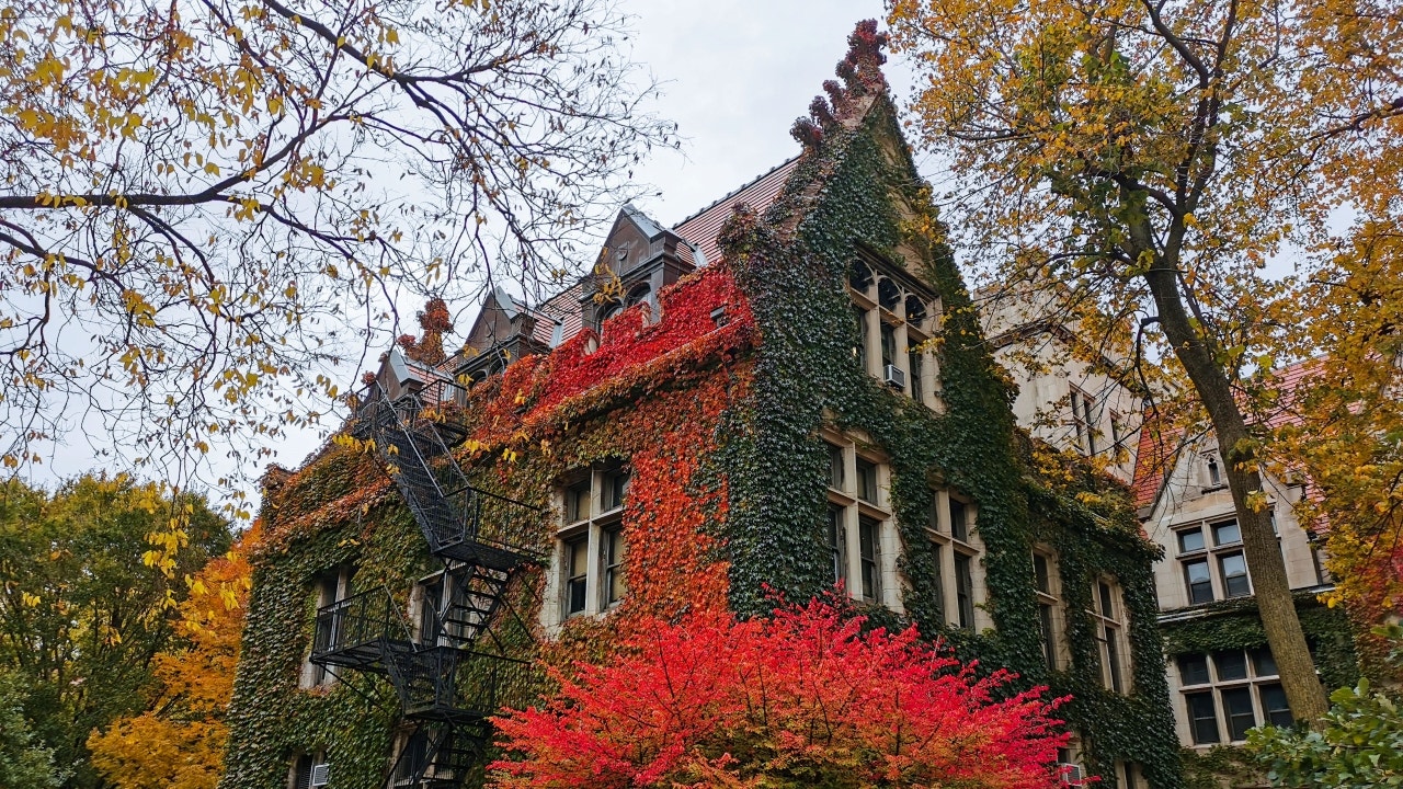 Ivy-covered UChicago building