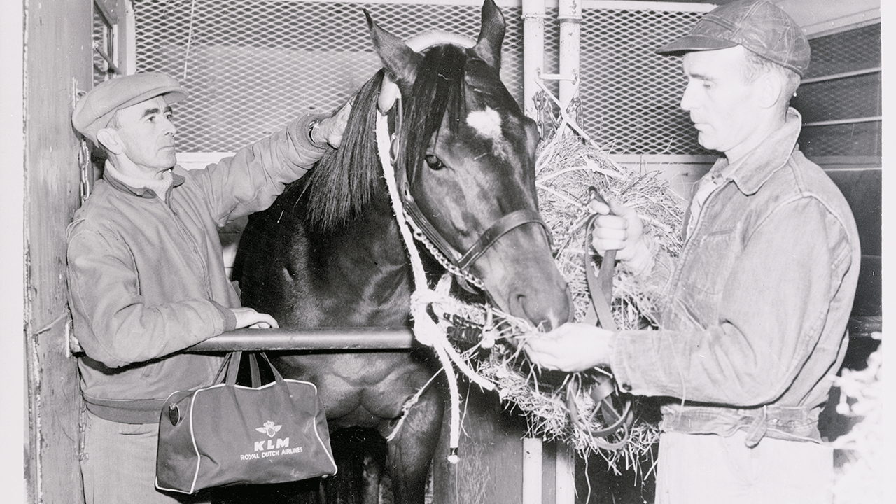 A black and white photo of 1952 Kentucky Derby winner Hill Gail
