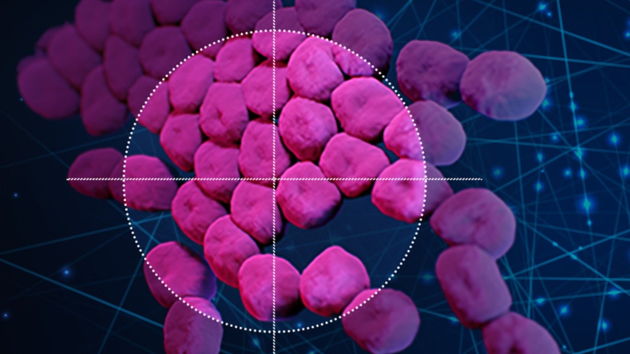 Scientists use AI to find drug that kills bacteria responsible for many drug-resistant infections