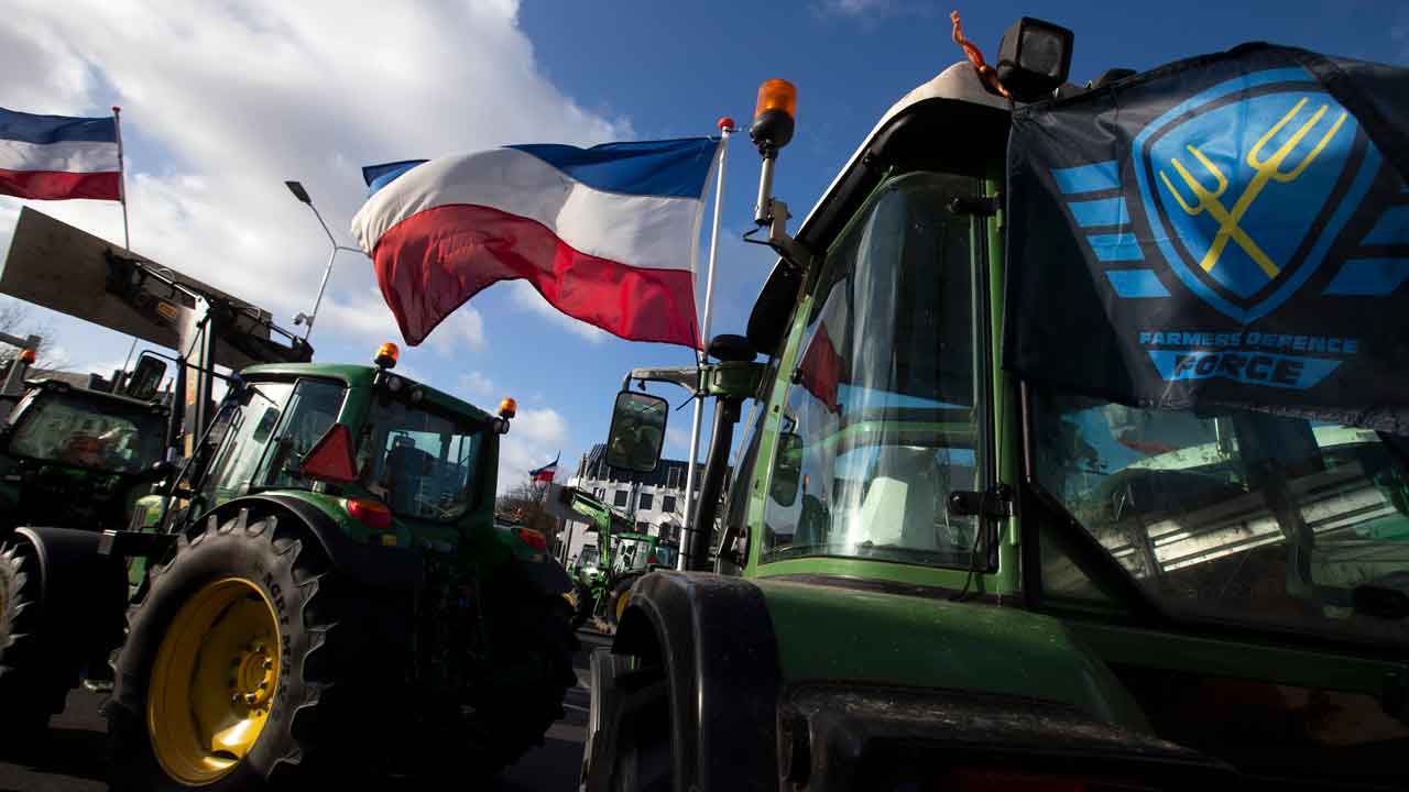 EU gives Netherlands green light in farm buyout scheme aimed at cutting nitrogen emissions