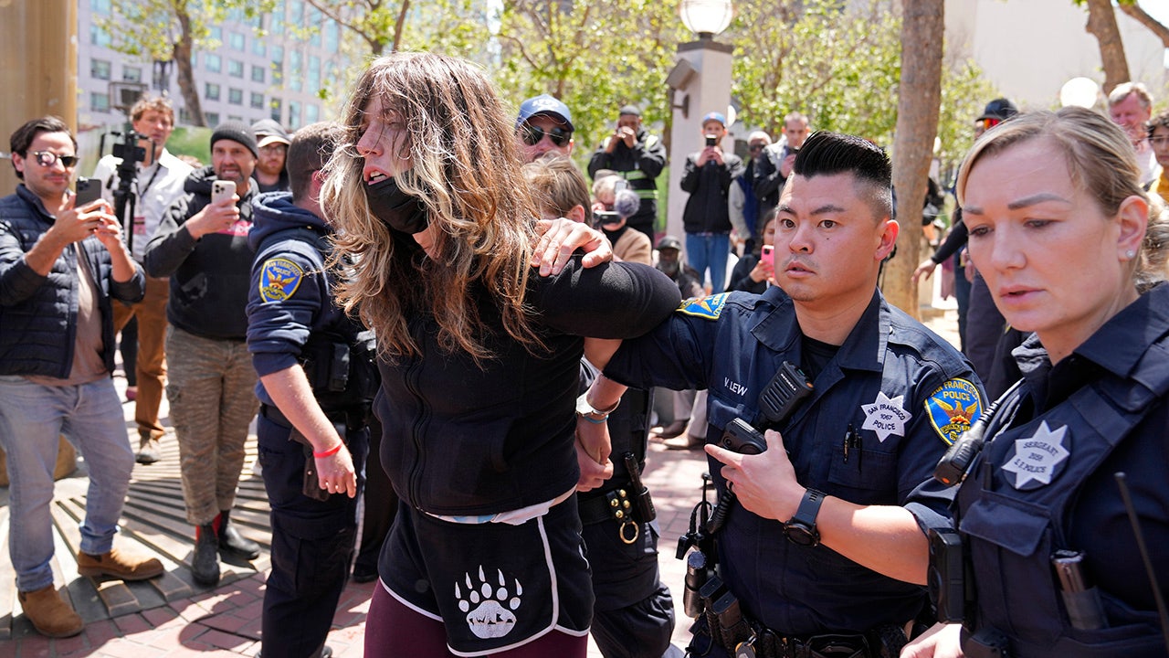 Protester arrested for throwing brick during San Francisco Mayor London Breed's chaotic open air drug hearing