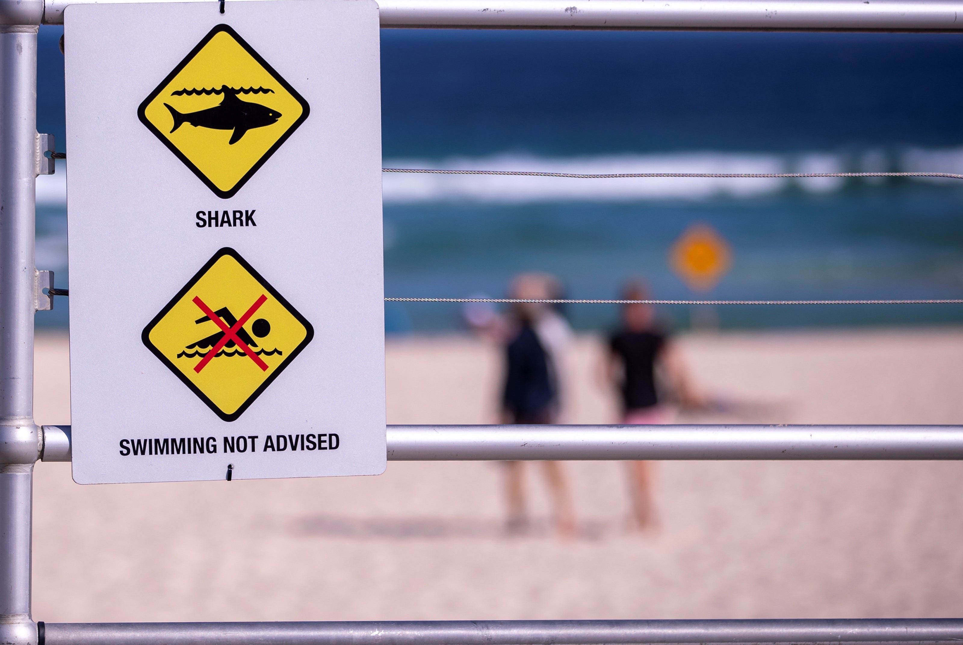 Pieces of wetsuit, surfboard found after shark attack in South Australia