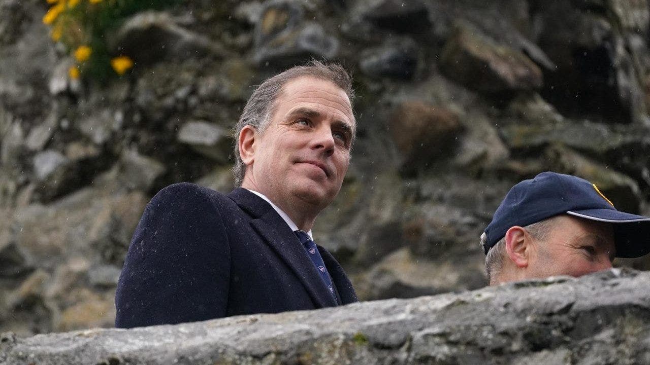 Hunter Biden’s former business partner, close friend makes last-ditch attempt to avoid prison sentence