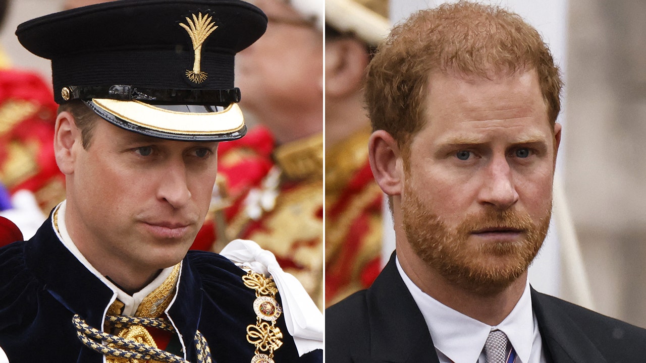 Prince William, Prince Harry 'playing with fire' as King Charles 'too weak' to mend feud, expert claims