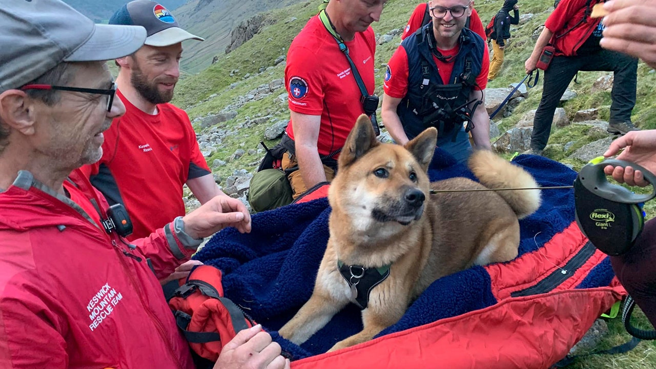 'Injured and exhausted' dog rescued from England's highest mountain