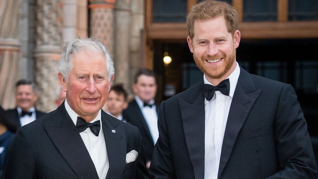 King Charles 'delighted' by Prince Harry's UK visit, but 'too soft' to resolve royal rift: experts