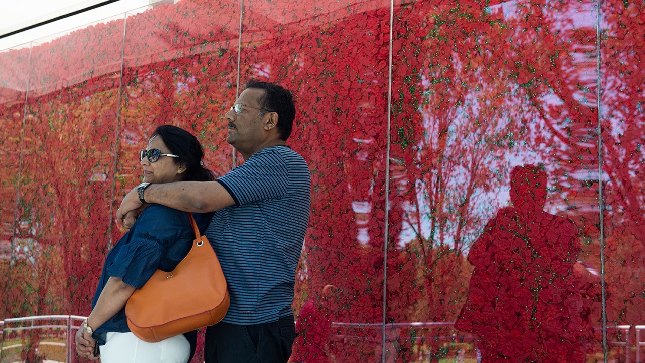 Memorial Day poppy flower display honors fallen veterans