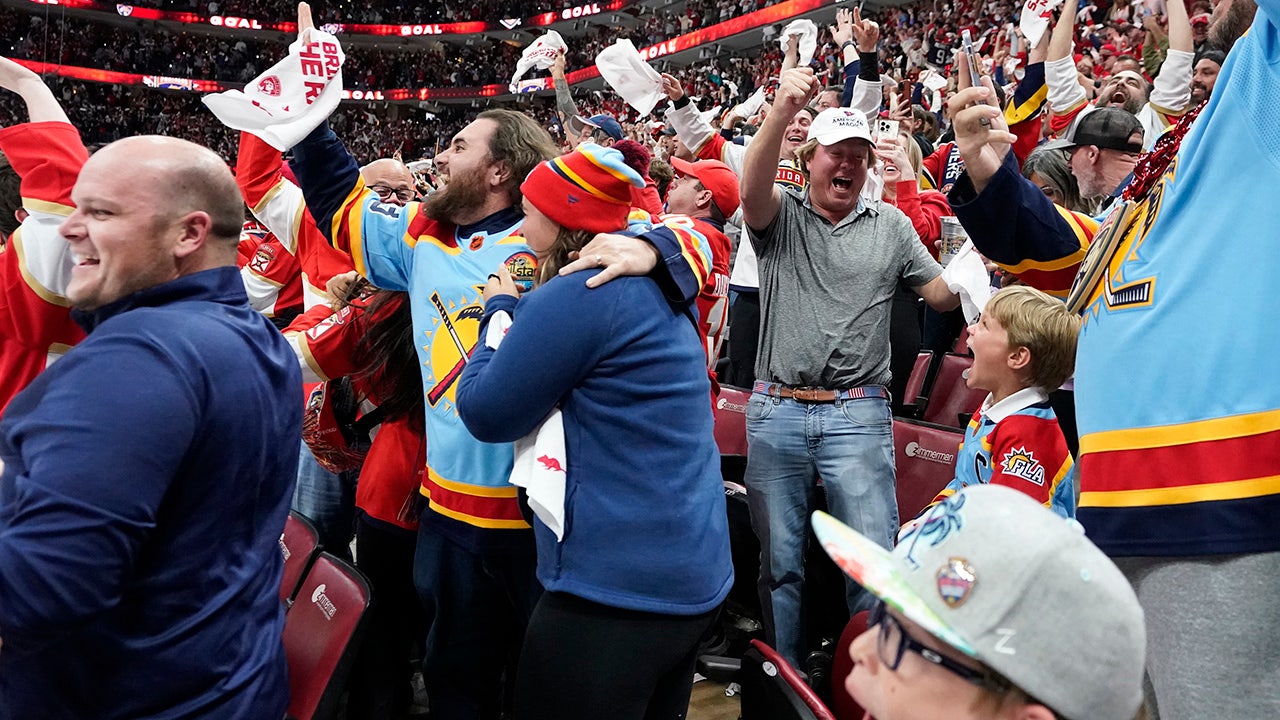 Florida panthers fan flash