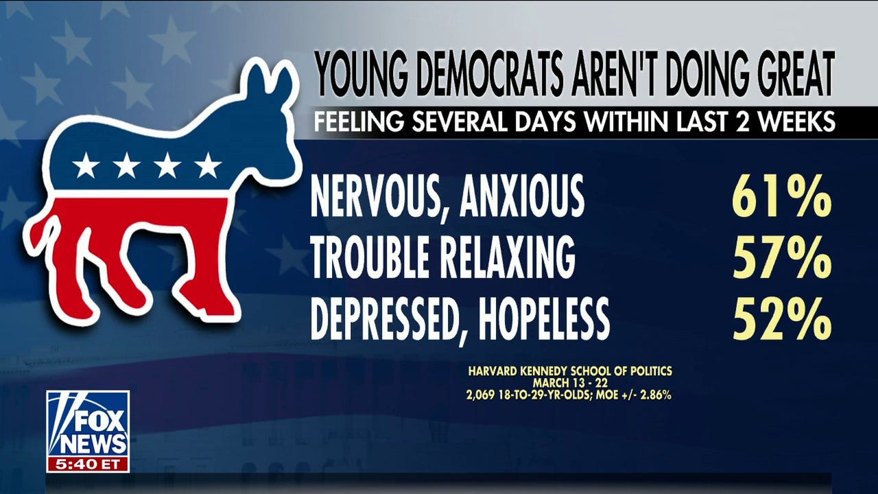 Young Democrats feel 'nervous,' 'anxious' and 'depressed': Gone from a 'yes we can country to a no you can't'