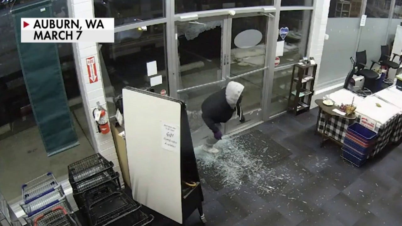Seattle-place organization owner pleads with town officials right after expensive crack-ins: ‘Buck keeps obtaining passed’