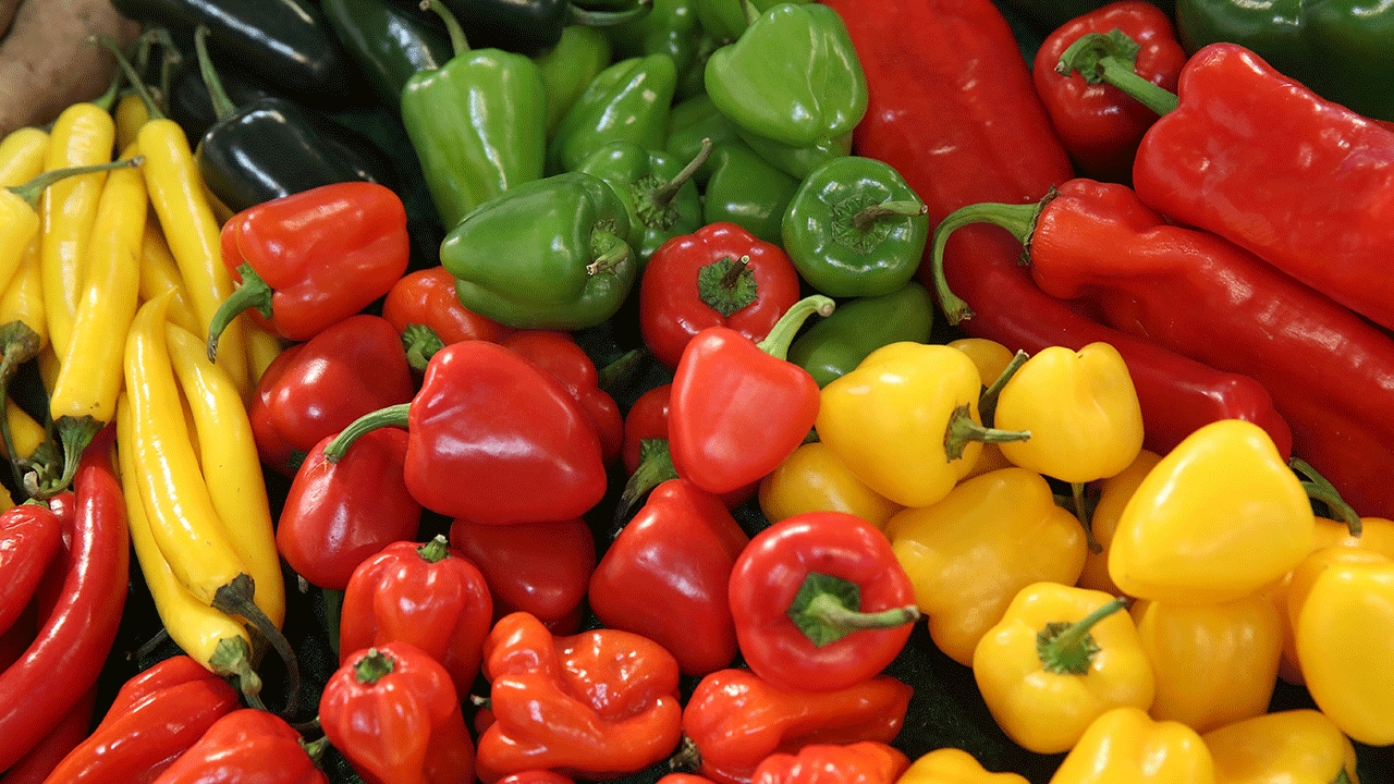 Different kinds of peppers