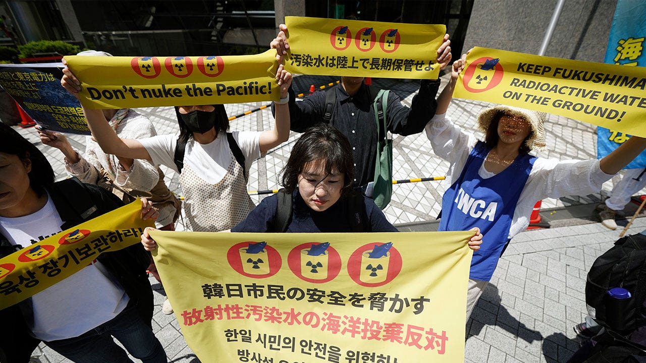 Dozens protest in Tokyo to stop Japan from releasing treated, but still radioactive, water into the sea