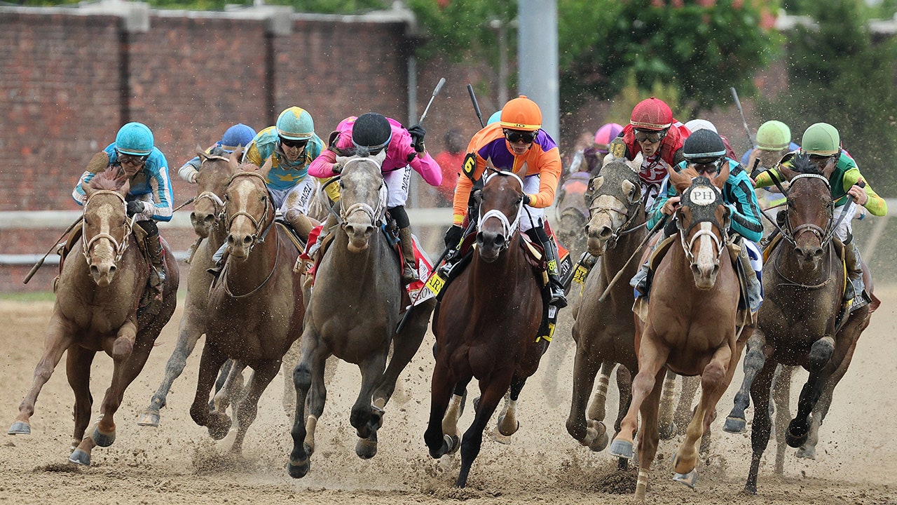 PETA calls Churchill Downs a ‘killing field’ after 7 horses die at track leading up to Kentucky Derby