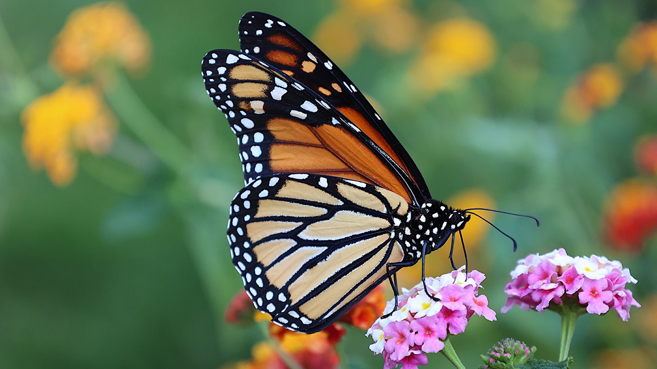 Are summer allergies getting in the way of your fun? Here's how to get rid of them