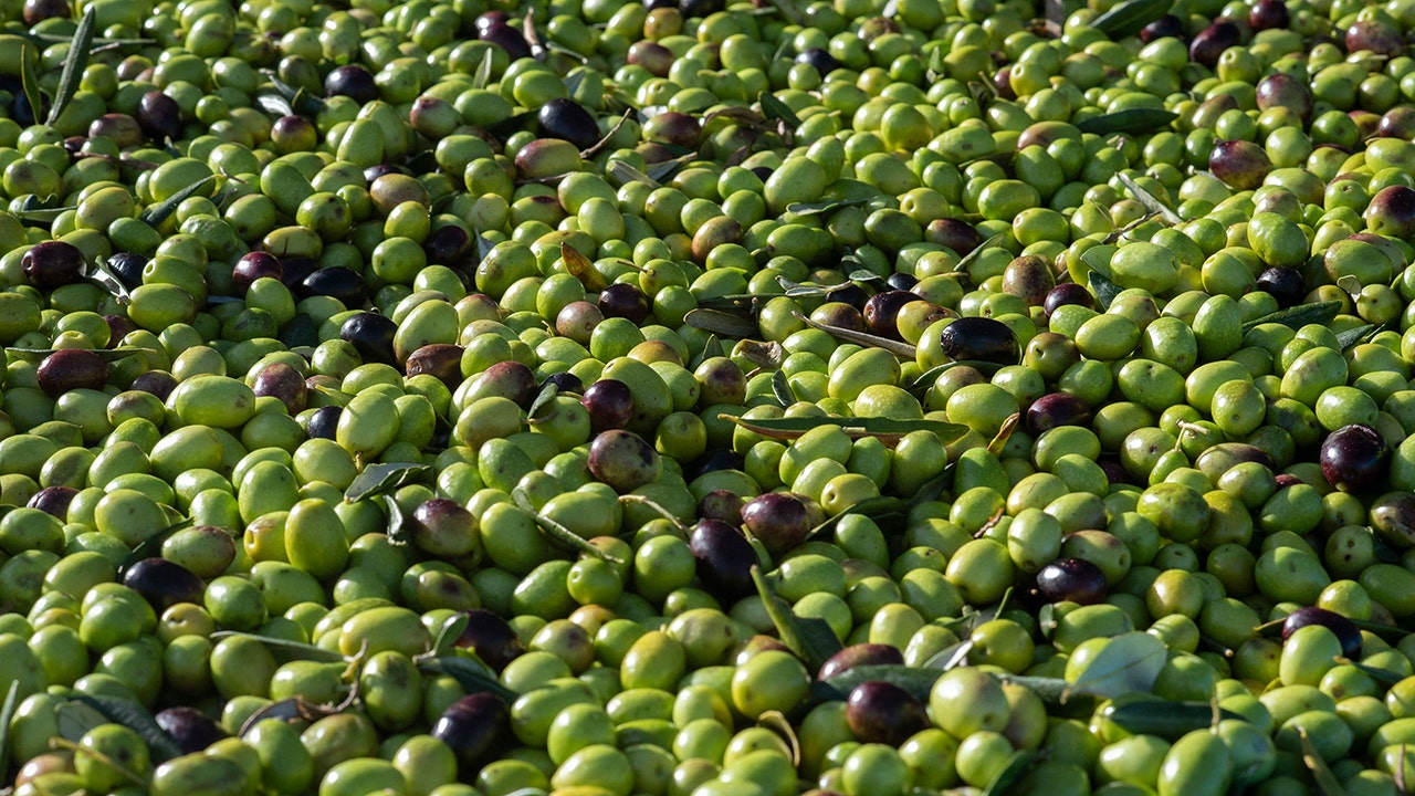 Celebrate National Olive Day with homemade pasta puttanesca