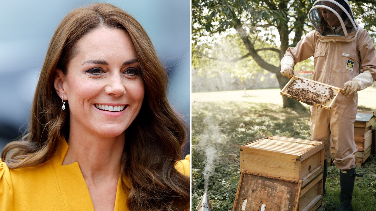 Princess Kate Middleton channels inner Queen Bee amid Prince Harry, Meghan Markle alleged car chase