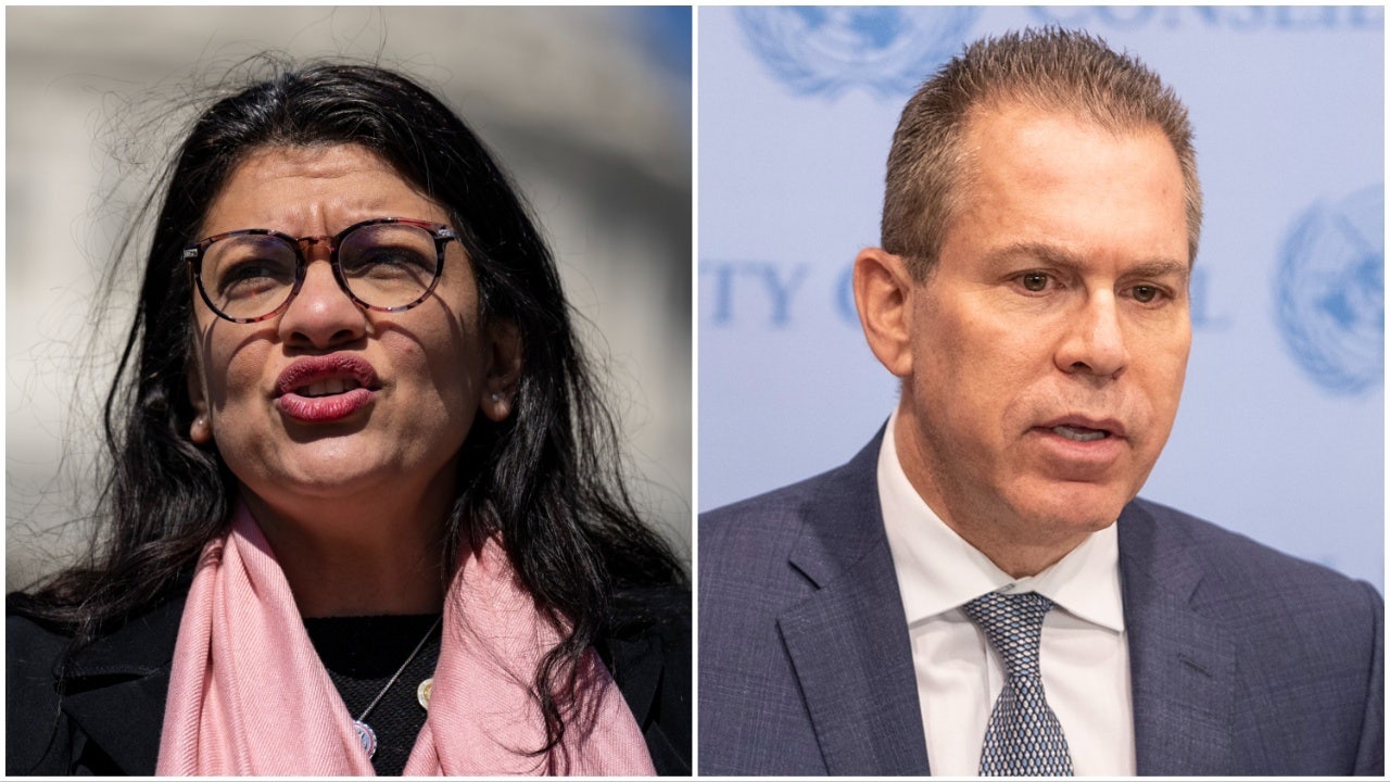 Israeli ambassador to UN condemns Tlaib's 'antisemitic lies' after calling Israel 'apartheid state'