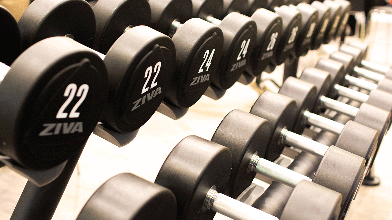 Dumbbells on a rack at the gym