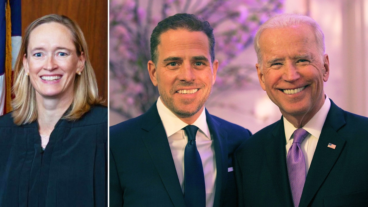 Maryellen Noreika, Hunter Biden, Joe Biden