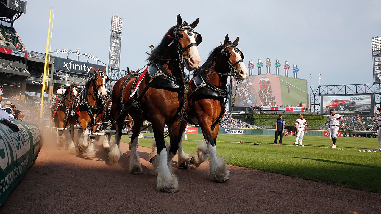 Clydesdales take the field on Opening Day 2023