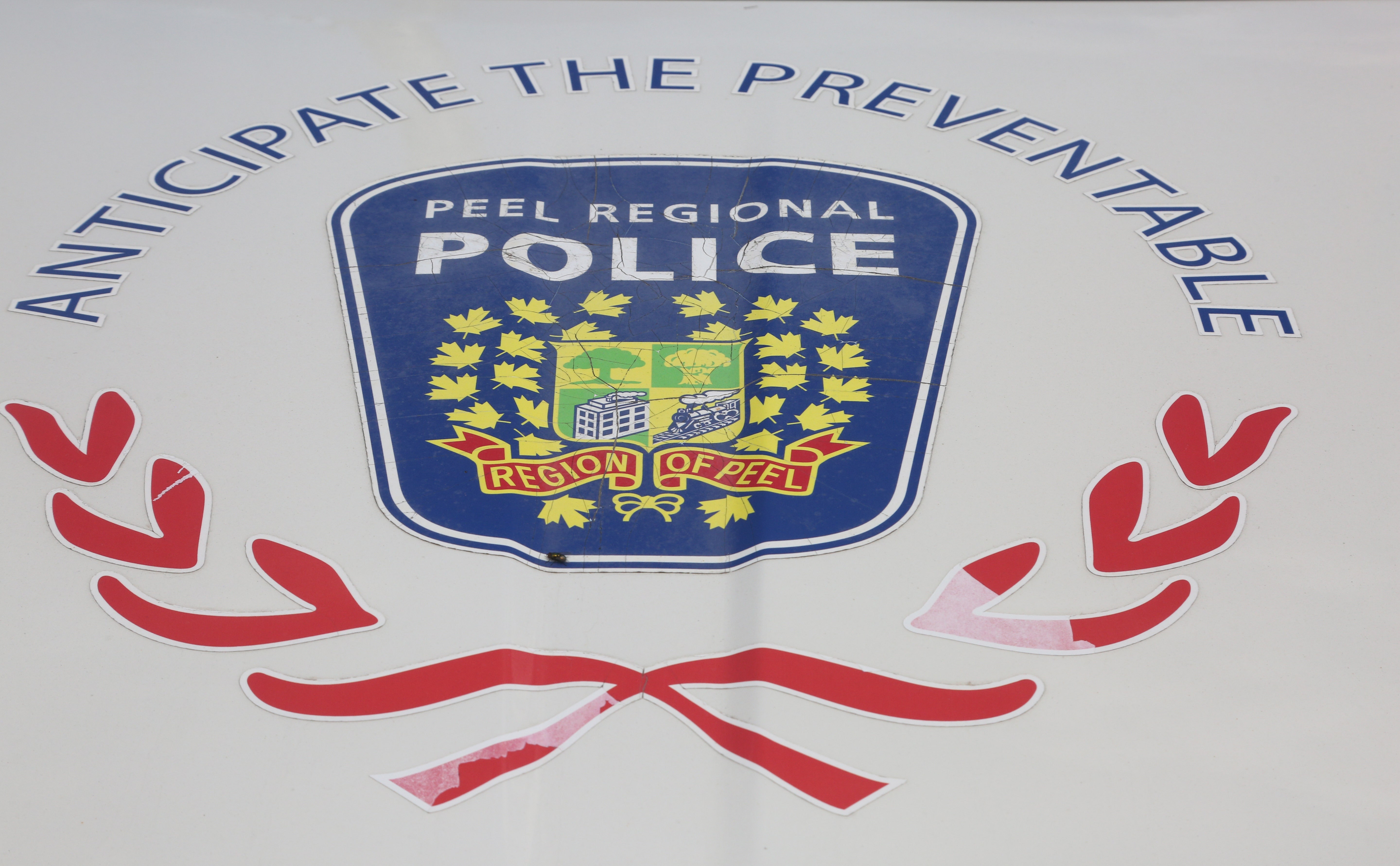 Canadian cop punished after hugging anti-lockdown protesters: 'Discreditable conduct'