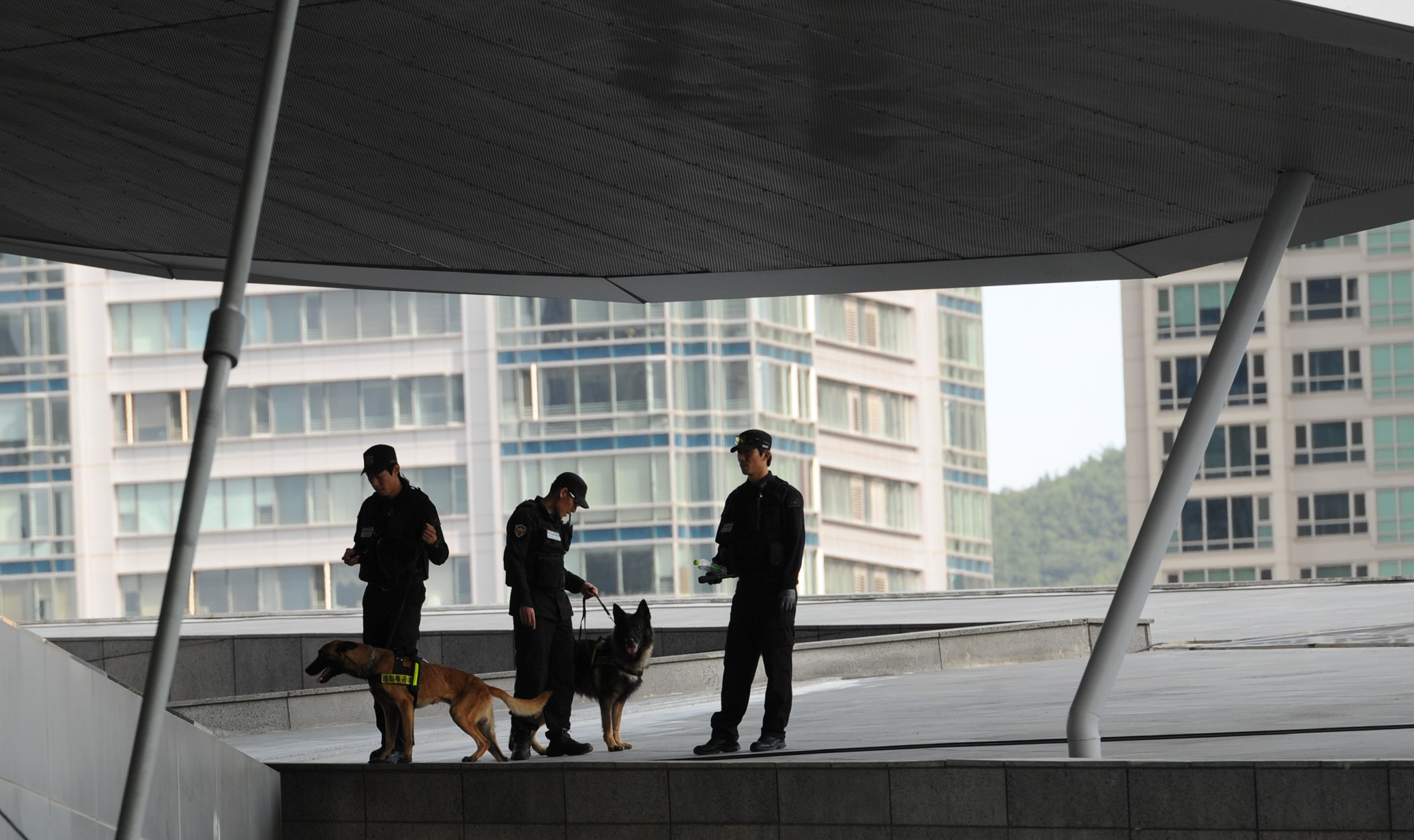 South Korean true crime fan allegedly kills, dismembers tutor ‘out of curiosity’