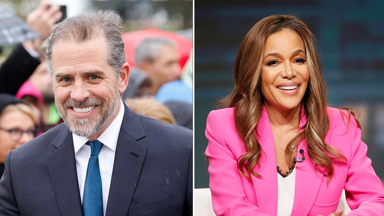 'The View' host praises Hunter Biden plea agreement: Proves 'no one is above the law'