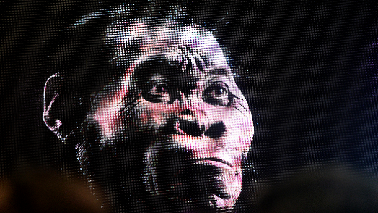 Studien deuten darauf hin, dass die in Südafrika entdeckte Art Homo naledi möglicherweise ihre Toten und geschnitzten Symbole begraben hat
